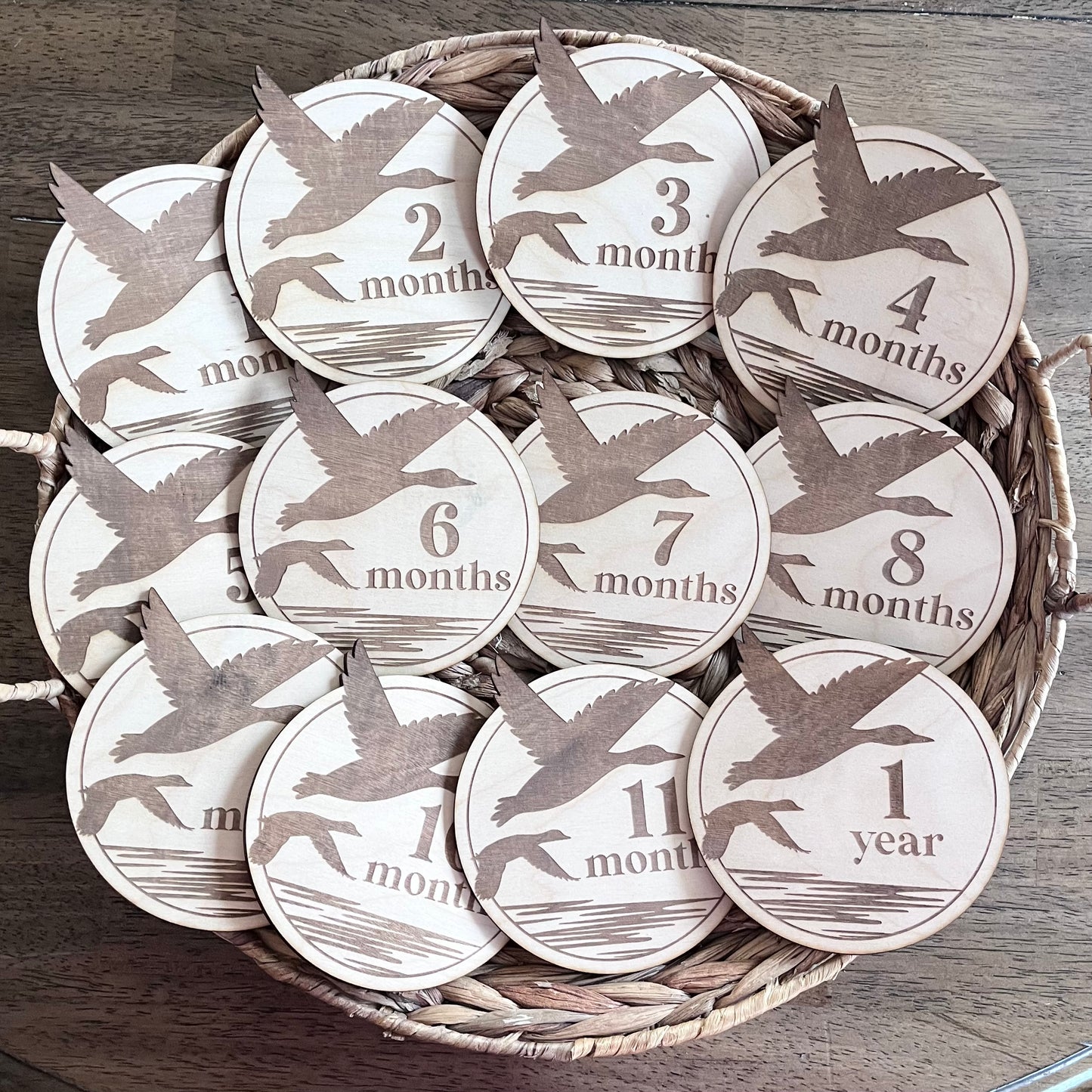 Mallard Duck Monthly Milestone Markers