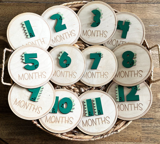 dino monthly milestone baby boy photo prop