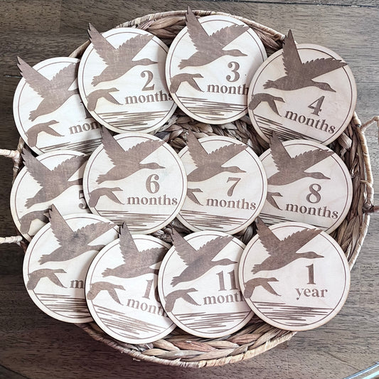 Mallard Duck Monthly Milestone Markers