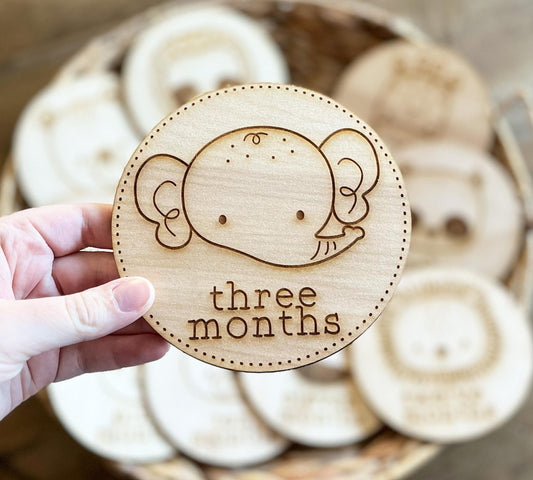 Zoo Animals Monthly Milestone Marker