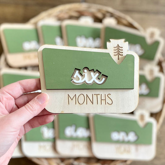 Camp Sign Monthly Milestones